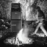 Static Harmonic Pendulum