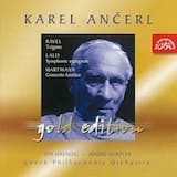 Concerto Funebre for Violin and String Orchestra: III. Allegro di molto att.