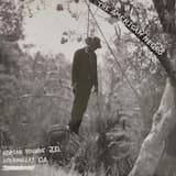 Light on the Horizon