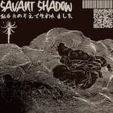 心臓が一瞬止まる