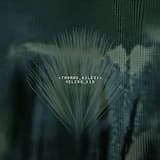 Strangers in a Paranoid Mind