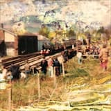 The Green of Everyday