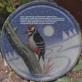 You Closed the Lid on Me, You Sank Into the Sea