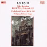 Trio Sonata no. 1 in E flat major, BWV 525: I.