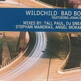 Bad Boy (Sneak's Ragga House mix)