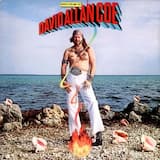 Rollin' With the Punches