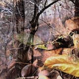 Winter Coming (Redux)