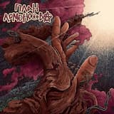 The Children of the Universal Pit