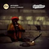 Snake Charmer (Fate Zero remix)