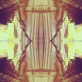 As Real as It Is - Don't