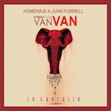 Soy la mujer que quiero ser