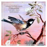 Violin Concerto in D minor: I. Allegro