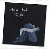 Laev tõstetud purjedega