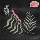 Is The Hugeness Translating?