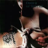 Lips – The Passage to Pleasure