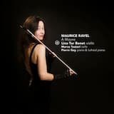 Sonate pour violon et piano: III. Perpetuum mobile. Allegro