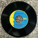 El caballo y la montura