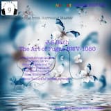 Contrapunctus 09 a 4 alla Duodecima