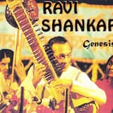 Jealousy and Fighting