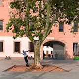 Blunts & Cappuccinos