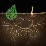 球魂～やる気・元気・その木の根っこ～