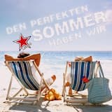 Den perfekten Sommer haben wir (Radio Version)
