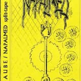 Live Performance 24.6.1995