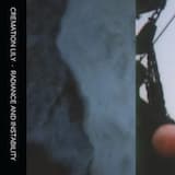 As a Sea Creature Might Watch From the Aquarium