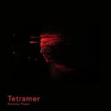 the warden tree deep in the forest