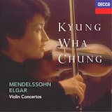 Violin Concerto in B minor, op. 61: I. Allegro