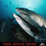 Outro (Double Shark)