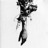 The Flowers of Romance