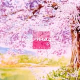 Reckless fire(スクライド) -- アニマージュ