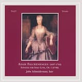 Sonata IV in G minor: Allegro un poco