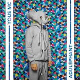 L'oiseau électrique