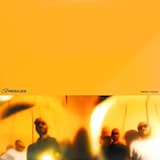 Panteras y pumas a.k.a. Energía