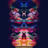 Skin / What If (interlude)