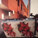 Young and Yet Too Old