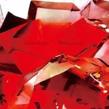 They Didn't Believe Me