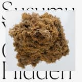 The Future of Ecstasy