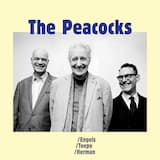 The Peacocks (single edit)