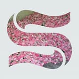 Step by Step (bonus beat)