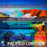 PARADISE - 鳥のヨーイング