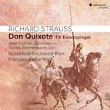 Don Quixote, Op. 35: Variation IX. Schnell und stürmisch (The contest with the supposed enchanters)