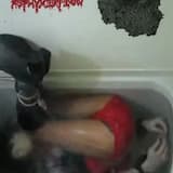 Some Songs About a Female Fetishist Drowning While Trying to Escape a Bathtub With Handcuffs On...