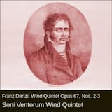 Wind Quintet, op. 67 no. 2 in E minor: Larghetto