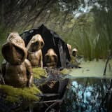 Things Placed In A Room