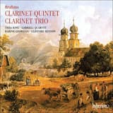 Clarinet Quintet in B minor, op. 115: I. Allegro