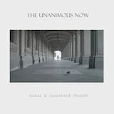 The Unanimous Now (film edit)