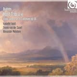 Violin Sonata op. 78: III. Allegro molto moderato